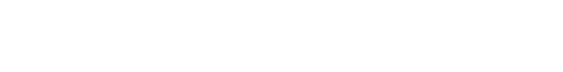 logo terna sliderW