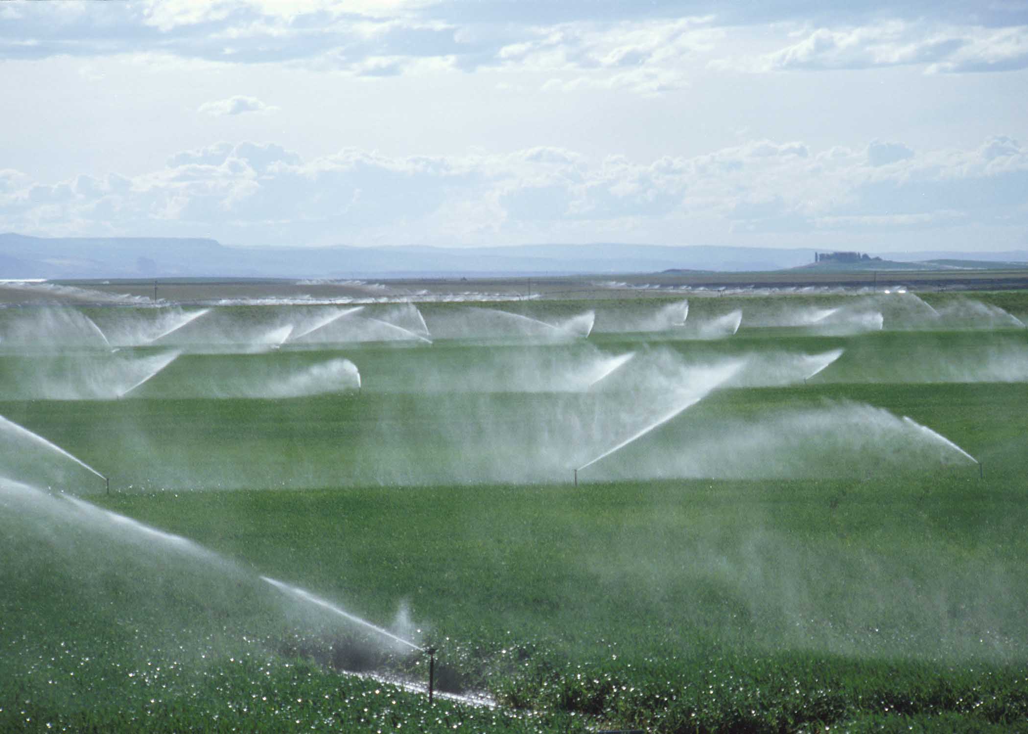 spray irrigation4 1